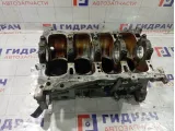 Блок цилиндров Mitsubishi Lancer MN163642