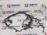 Проводка подкапотная Mitsubishi Lancer 8541B630