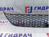 Решетка радиатора Mitsubishi Outlander 6402A037