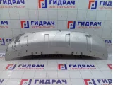 Накладка бампера переднего Mitsubishi Outlander 6400A422