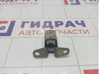 Петли двери передней правой Mitsubishi Outlander