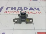 Петли двери задней левой Mitsubishi Outlander