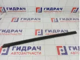 Уплотнитель стекла двери передней правой Mitsubishi Pajero Sport MN117618