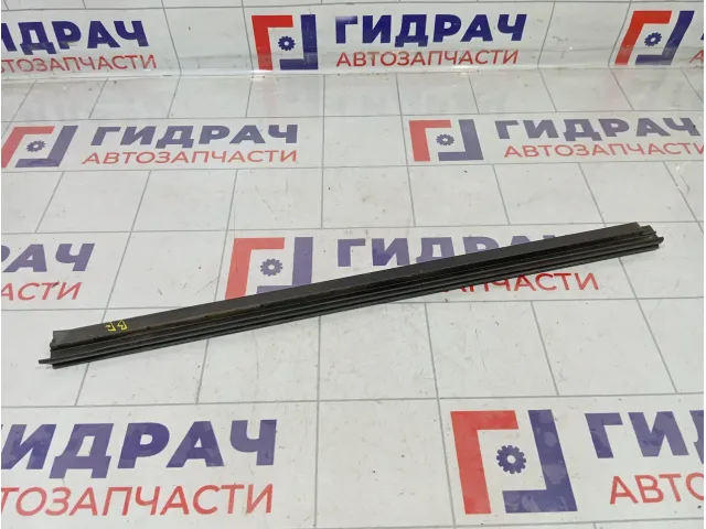 Уплотнитель стекла двери задней правой Mitsubishi Pajero Sport 5736A112