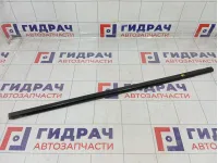 Накладка стекла переднего правого Mitsubishi Pajero Sport MN117612