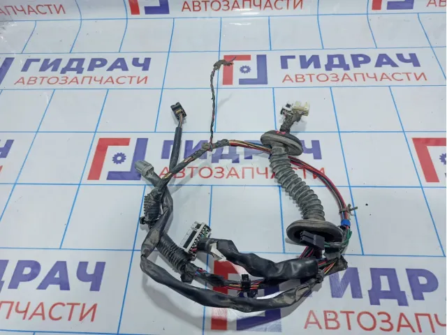 Проводка двери передней левой Nissan Almera Classic (B10) 24125-95F0A