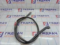 Молдинг крыши левый Nissan Almera Classic (B10) 76843-95F0A