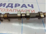Распредвал выпускной Nissan Almera Classic (B10) 13020-8N210