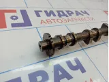 Распредвал впускной Nissan Almera Classic (B10) 13020-AU000