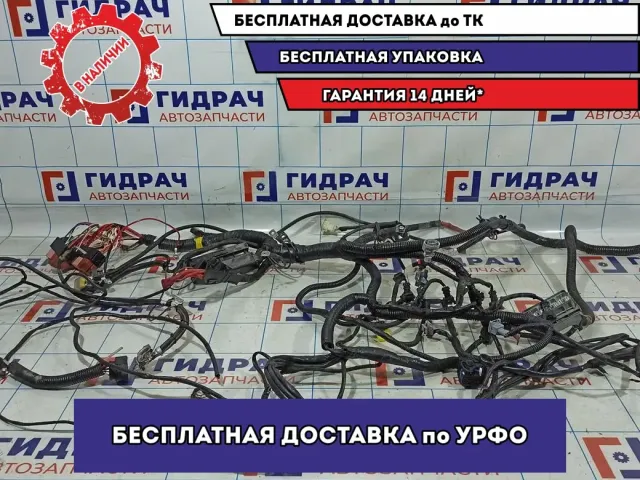 Проводка подкапотная Nissan Almera G15 .