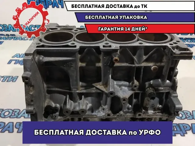 Блок двигателя Nissan X-Trail 110008H700