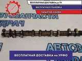Распредвал выпускной Nissan X-Trail 13020WF710