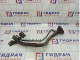 Горловина топливного бака Nissan Almera Classic (B10) 17221-95F0A