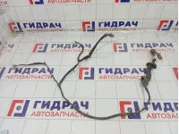 Проводка двери задней левой Nissan Almera 24126BN803