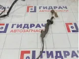 Проводка двери задней левой Nissan Almera 24126BN803