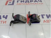 Петли двери задней левой Nissan Almera Classic (B10)