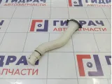 Горловина бачка омывателя Nissan Almera Classic (B10) 28916-95F0A