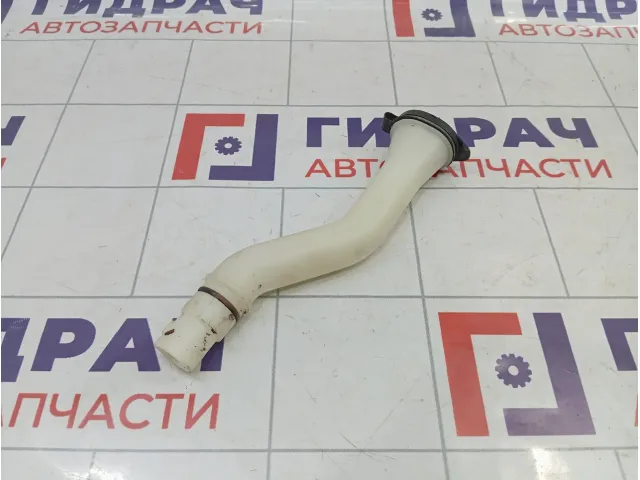 Горловина бачка омывателя Nissan Almera Classic (B10) 28916-95F0A