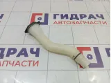 Горловина бачка омывателя Nissan Almera Classic (B10) 28916-95F0A