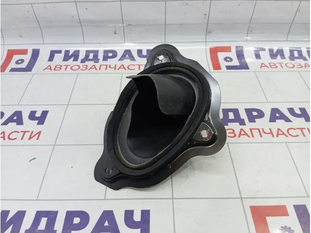 Ниша лючка бензобака Nissan Almera Classic (B10) 78150-95F0B