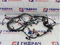 Проводка двигателя Nissan Almera Classic (B10) 51218-31161