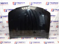 Капот Nissan Almera Classic (B10) 65100-95F0C