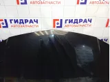 Капот Nissan Almera Classic (B10) 65100-95F0C
