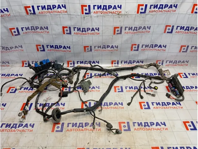 Проводка подкапотная Nissan Almera Classic (B10) 51117-31031