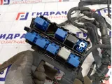 Проводка подкапотная Nissan Almera Classic (B10) 51117-31031