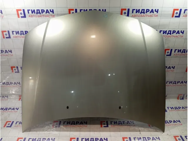 Капот Nissan Almera Classic 6510095F0B