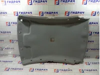 Обшивка потолка Nissan Almera Classic 7391095F0B