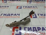 Педаль газа Nissan Almera Classic 1801095F0B
