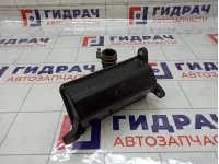 Резонатор воздушного фильтра Nissan Almera Classic 1613043900