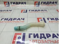 Горловина бачка омывателя Nissan Almera Classic 2891695F0A