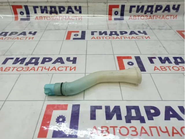 Горловина бачка омывателя Nissan Almera Classic 2891695F0A