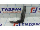 Брызговик передний правый Nissan Almera Classic 8620231700.