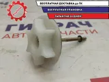 Болт крепления запасного колеса Nissan Almera Classic 74810-95F0A.