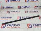 Накладка стекла переднего правого Nissan Almera Classic 8082095F0A
