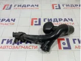 Патрубок воздушного фильтра Nissan Almera Classic 1657395F0A