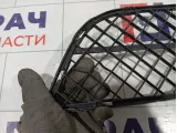 Решетка бампера переднего центральная Nissan Almera Classic 6225695F0A