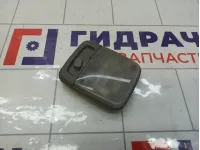 Плафон салонный Nissan Almera Classic 2641095F0B