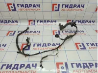 Проводка двери передней левой Nissan Almera Classic (B10) 24125-95F0J