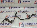 Проводка двери передней левой Nissan Almera Classic (B10) 24125-95F0J