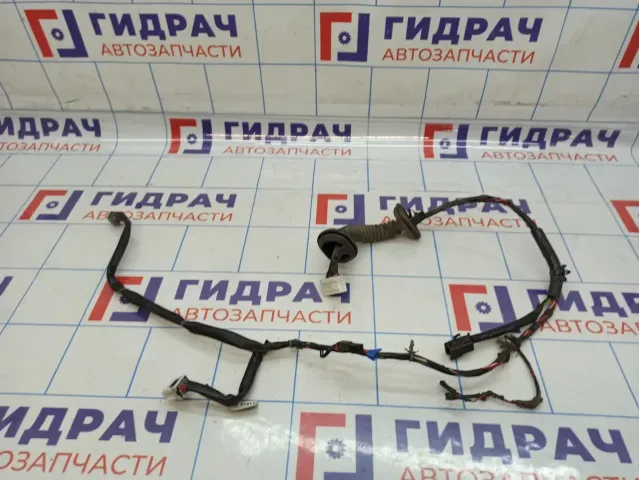 Проводка двери передней правой Nissan Almera Classic (B10) 24124-95F0E