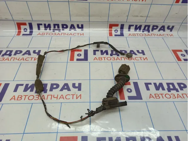Проводка двери задней левой Nissan Almera Classic (B10) 24237-95F0C