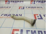 Горловина бачка омывателя Nissan Almera Classic (B10) 28916-95F0A