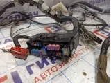 Проводка подкапотная Nissan Almera Classic (B10) 24012-95F4D