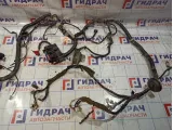 Проводка подкапотная Nissan Almera Classic (B10) 24012-95F4D