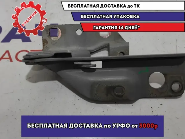 Петля капота левая Nissan Almera Classic (B10) 1 65401-95F0A.