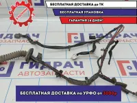 Проводка двери передней правой Nissan Almera Classic (B10) 1 24124-95F0E.